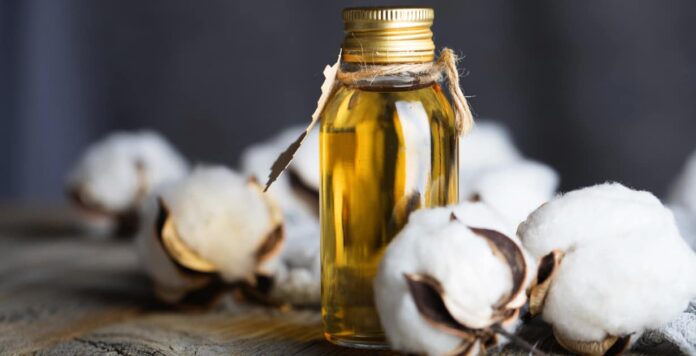 shutterstock_1220691235-1