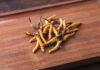 Cordyceps mantarı: Ender bulunan şifa deposu